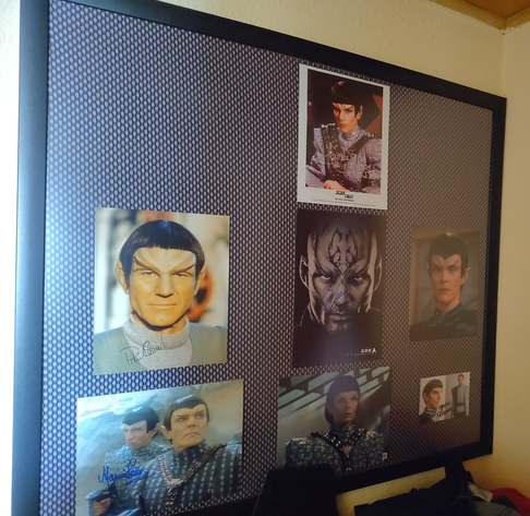 Wandbild 80x90 mit großformatigen Autogrammen von Star Trek Schauspielern, die alle Rollen von Romulanern gespielt haben