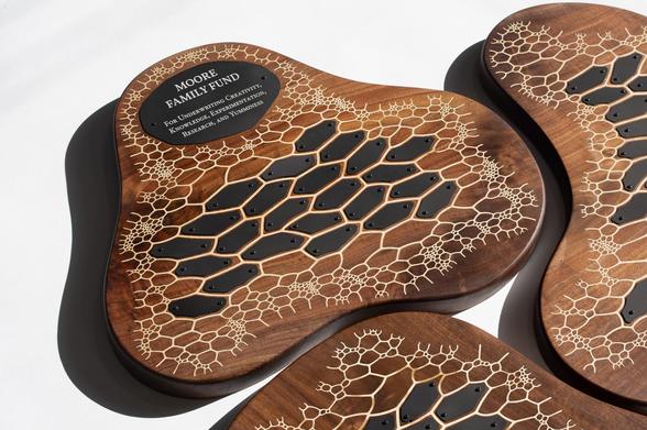 Carved from rich walnut, these plaques have flowing, sculptural contours that evoke natural growth processes. Instead of a traditional grid, the black nameplates are arranged within an intricate, algorithmically generated pattern—reminiscent of plant cells or the skeletal structures of microscopic radiolaria.