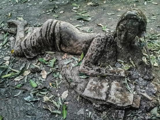A stone statue of a girl, reclining on her side, one hand under her head, the other holding open a book on the ground beside her, which she is engrossed in. The statue is discolored and weathered, surrounded by fallen leaves.
