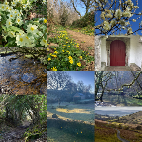 A collage of pictures including an ancient doorway , woodland, streams and moors. 