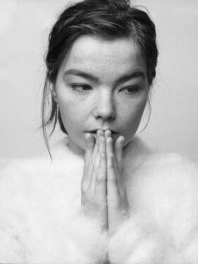 Björk est une artiste islandaise innovante, pionnière de la musique électronique, expérimentale et avant-gardiste. Née en 1965 à Reykjavik, elle a débuté sa carrière dans le groupe The Sugarcubes avant de se lancer en solo avec l'album "Debut" en 1993. Son style musical éclectique mélange des genres tels que la pop, électronique, jazz, classique, et punk. Björk est reconnue pour sa voix unique, ses expérimentations sonores et son approche artistique audacieuse. Elle est également une icône culturelle grâce à ses performances visuelles et ses tenues excentriques. Son influence est immense, et elle reste l'une des artistes les plus originales et respectées de la musique contemporaine.
