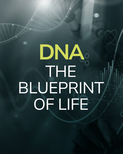 DNA