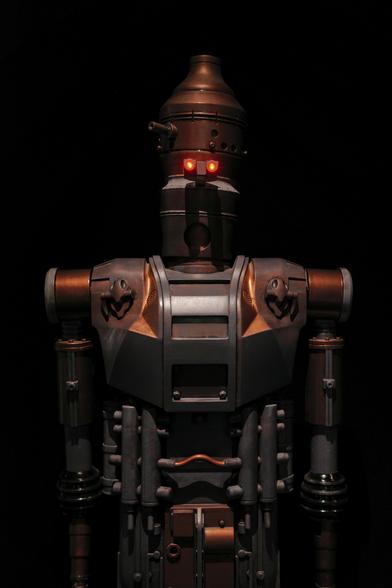 In the photo, the IG-11 robot from the movie Mandalorian.