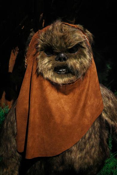 The photo is of an ewok.