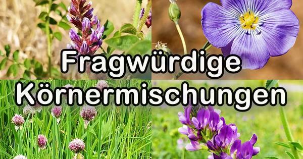 Fragwürdige Körnermischungen