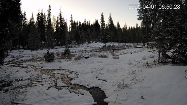 A cold, wet meadow with a light dusting of snow under a partly cloudy sky at dawn.