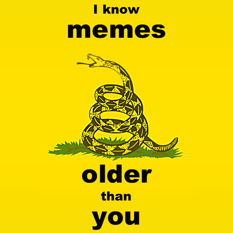 Meme format, Gadsden flag, with the snake. Words say "I know memes older than you."