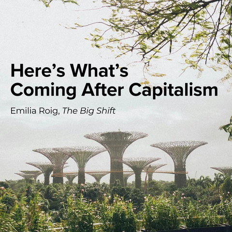 A photo of latticed tree-like rain catchment systems stand tall over greenery, with black text overlayed reading, "Here's What's Coming After Capitalism; Emilia Roig, The Big Shift"