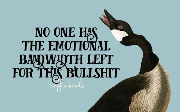 A painting of a bird beside the text "no one has the emotional bandwidth left for this bullshit"