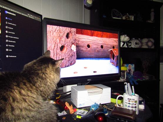 Goobie watching Cat TV with a bunch of mice running around.