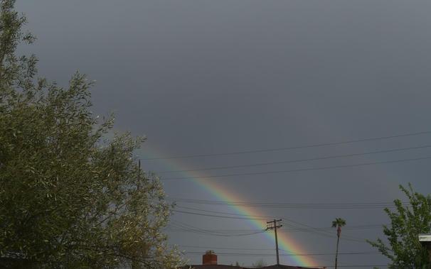 Closer zoom of the brighter right end of the of the rainbow rising above rooftops between a utility pole and a palm tree