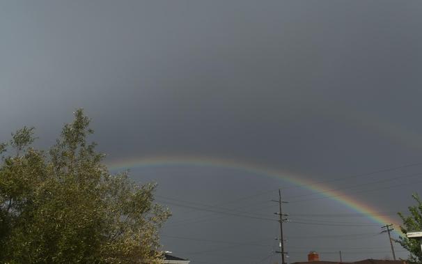 Bright rainbow with a faint double arcing over rooftops and power lines, ending in a leafy, sunlit tree