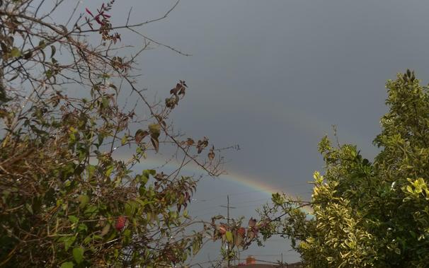 A bright rainbow with a faint double above, seen on a gray sky through green foliage in the foreground
