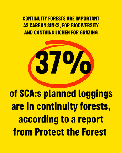 Continuity forests are important as carbon sinks, for biodiversity and contaisn lichen for grazing. 