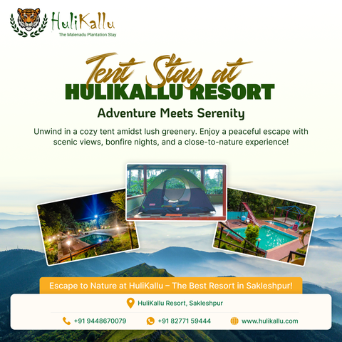 Experience the Thrill of Nature with Our Cozy Tent Room