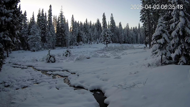 A clear morning over a snowy meadow.