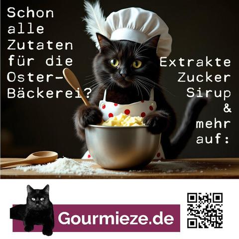 Kater mit Kochmütze und Schürze an Rührschüssel