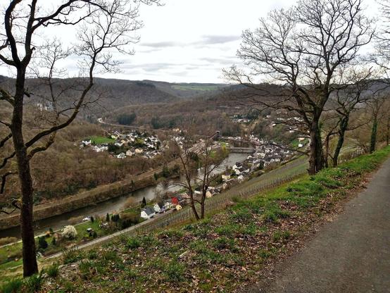 View from above a vineyard to the valley of river Lahn winding in its narrow bed. At the shores the village Obernhof. A few young oaks in the foreground. Bridges over the river and a railroad. Sky is cloudy, scenery is early spring.