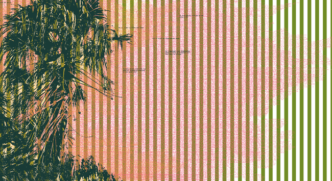 Végétation dense, couleurs crépusculaires, paroles
