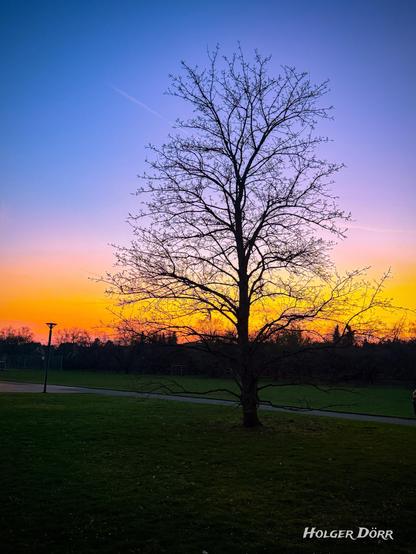 Ein kahler Baum erhebt sich still und stolz vor einem glühenden Abendhimmel, der in warmen Orange- und Violetttönen brennt.
Wie ein stiller Wächter ruht er auf einer grünen Wiese, während das Licht des Tages langsam vergeht und der Himmel in sanfter Melancholie verblasst.