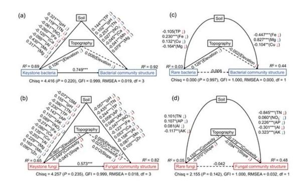 Causal path models for direct and indirect effects of soil properties, topographic factors and microbial groups on community structure.