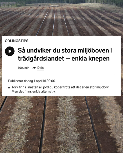 Bild från Sveriges Radio om hur torv är en stor miljöbov och finns i nästan all jord du köper