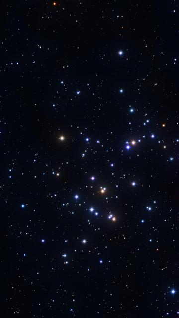 The Beehive Cluster