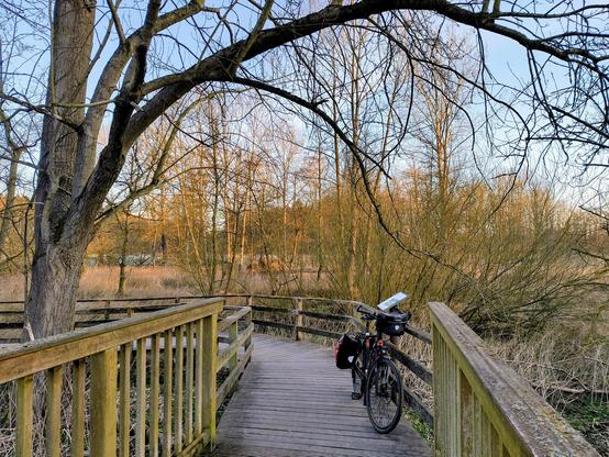 Mein Fahrrad steht am Brückengeländer.  Holzsteg und Holzbrücke. Die Äste eines großen Baums wachsen über die Brücke. Unter der Brücke ein Bachtal mit Sumpfboden und Schilfbewuchs.