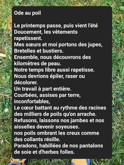 Ode au poil
Le printemps passe, puis vient l'été
Doucement, les vêtements rapetissent.
Mes sœurs et moi portons des jupes,
Bretelles et bustiers.
Ensemble, nous découvrons des kilomètres de peau. 
Notre temps libre aussi rapetisse. 
Nous devrions épiler, raser ou décolorer.
Un travail à part entière.
Courbées, assises par terre, inconfortables,
Le cœur battant au rythme des racines des milliers de poils qu'on arrache. 
Refusons, laissons nos jambes et nos aisselles devenir soyeuses. 
Ombrés dans les creux comme des collants resille. 
Paradons, habillés de nos pantalons de soie et d'herbes folle.