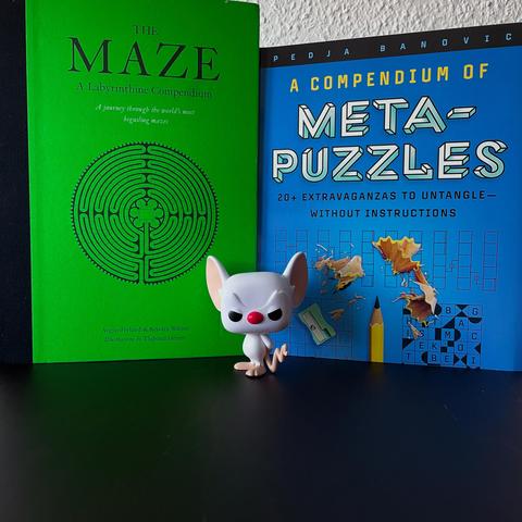 Two books: »The Maze: A Labyrinthine Compendium« by Kendra Wilson and Angus Hyland & »A Compendium of Meta-Puzzles« by Pedja Banovic