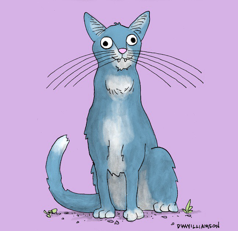 Blue cat with long whiskers