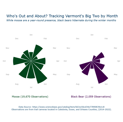 Who's Out and About? Tracking Vermont's Big Two by Month
While moose are a year-round presence, black bears hibernate during the winter months
Moose (19,670 Observations) Black Bear (2,059 Observations)
Data Source: https://www.sciencebase.gov/catalog/item/663ce56cd34e77890839%1c8
Observations are from trail cameras located in Caledonia, Essex, and Orleans Counties, (2014-2022).
