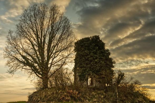 A derelict windmill is covered in ivy with a tree standing next to it. The sun is setting, bringing out warm colours in the clouds above.