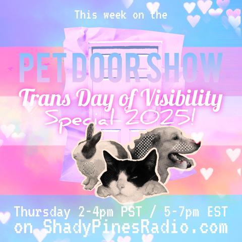 Newsprint rabbit, dog, and cat in front of a pink door with a crumpled paper frame, floating in a trans flag sky with hearts. Text reads "this week on the Pet Door Show Trans Day of Visibility Special 2025! Thursday 2-4pm PST 5-7pm EST on shadypinesradio.com"