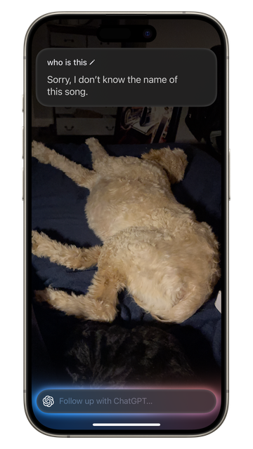 A smartphone screen displays a message stating, "Sorry, I don't know the name of this song," over an image of a sleeping light-colored dog on a dark blanket, with another darker dog partially visible in the background.