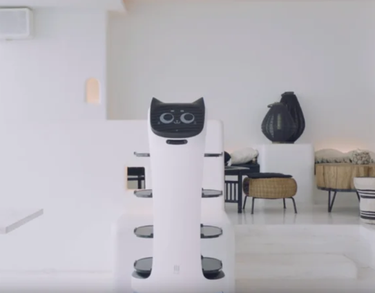 Get the Best Bellabot in Canada for Smart Food Delivery
