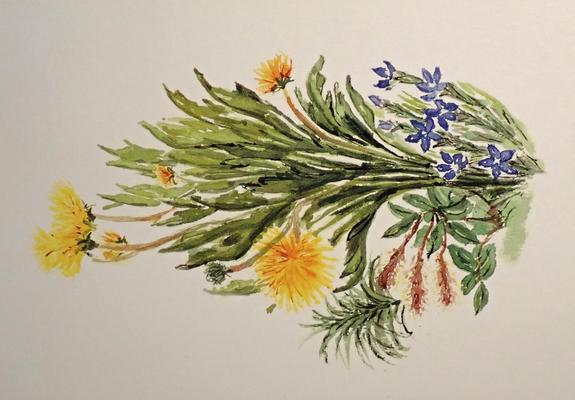 Postcard depicting greenlandic wildflowers