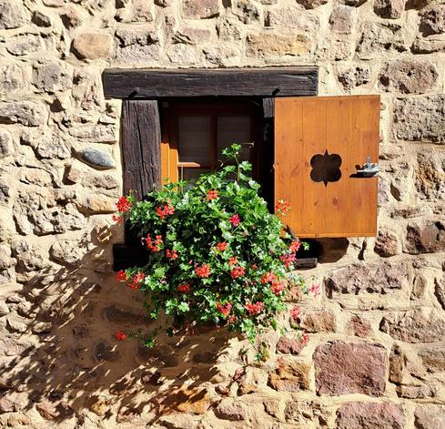 Fenster in der Blumenstadt Eguisheim im Elsass.