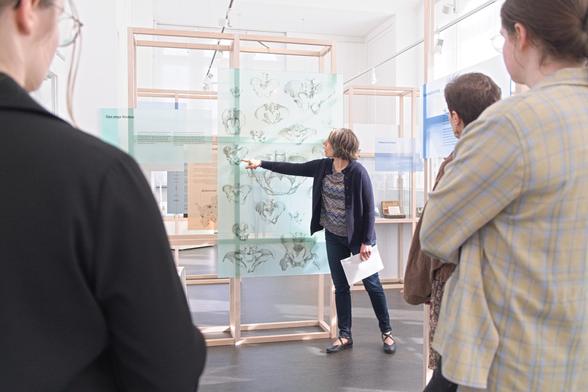 In one exhibition, a woman points to images of pelvic bones. Several people stand by and listen to her.