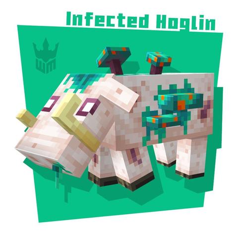 Infected Hoglin