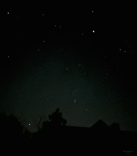 Das Bild zeigt einen Nachthimmel mit vielen Sternen, die über einer dunklen Silhouette von Bäumen und Hügeln am Horizont zu sehen sind. Der Himmel ist dunkel, aber die Sterne sind deutlich sichtbar. Die Silhouette im Vordergrund ist nicht detailliert, sondern eher als dunkle Masse dargestellt. Das Bild wirkt ruhig und atmosphärisch.