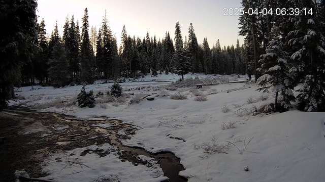 A snowy meadow at dawn