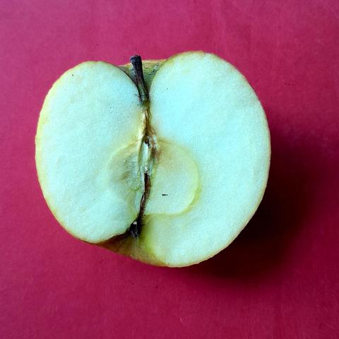 Photo de la coupe transversale d'une pomme, posée sur un fond rouge. Cette demi-pomme est belle avec ses côtés de forme et de taille différentes :)