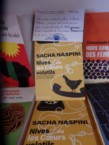 Couverture du livre Nives ou les coeurs volatils, qui représente une poule sur un téléphone