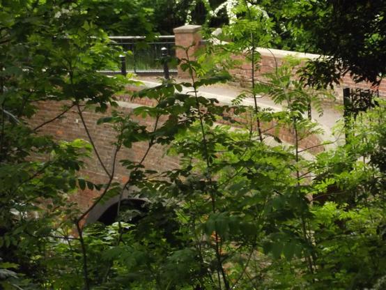 A photo titled "Westley Vale Millennium Green - Acocks Green - Grand Union Canal - Old Canal Bridge", taken near Bridge 86, Woodcock Lane by ell brown on Flickr.