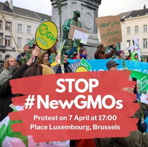 📅 Lundi 7 Avril 2025 🕑 17h00 
📍Place du Luxembourg (Parlement Européen Bruxelles)
📢 Mobilisation ☣️ Stop #NewGMOs #StopNouveauxOGM #StopOGM

📅 Monday 7 April 2025 🕑 17h00 
📍Place du Luxembourg (European Parliament Brussels)
📢 Mobilisation ☣️ Stop #NewGMOs #StopNewGMO #StopGMO 