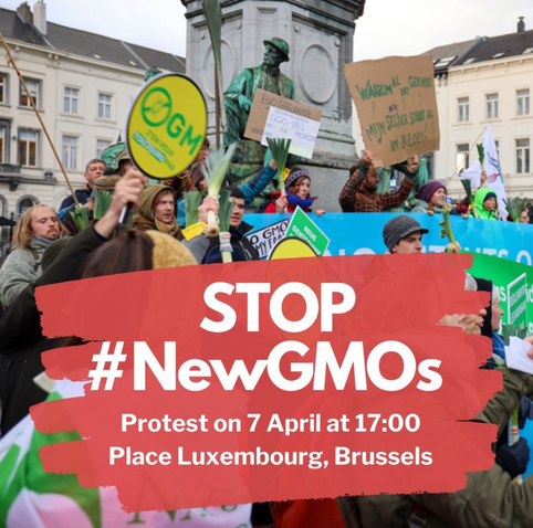 📅 Monday 7 April 2025 🕑 17h00  📍Place du Luxembourg (European Parliament Brussels) 📢 Mobilisation ☣️ Stop #NewGMOs #StopNewGMO #StopGMO 