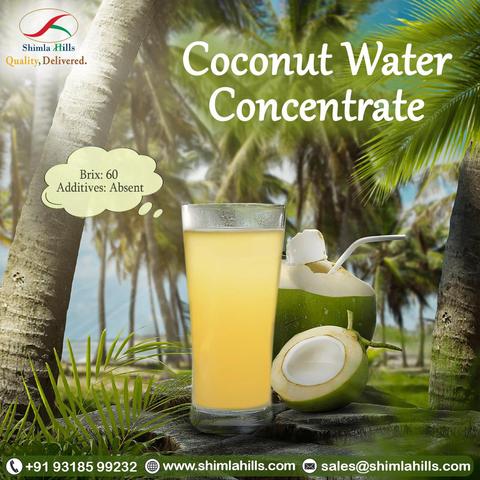 Shimla Hills Coconut Water Concentrate