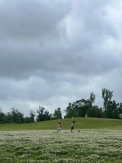 Two people off in the distance in a field of flowers doing yoga. Cloudy sky. 