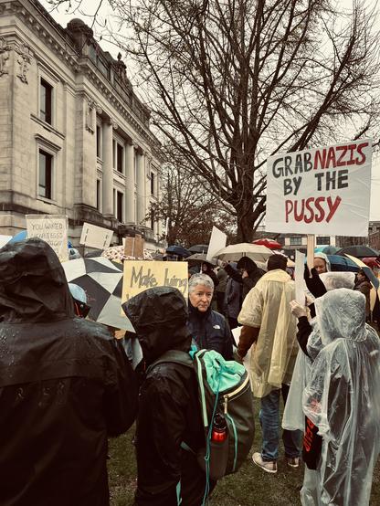 people hold signs at a courthouse lawn rally, including "Grab Nazis by the Pussy""